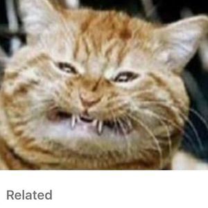 Meet your Posher, Randy